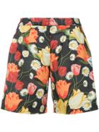 Mother Of Pearl Tulip-print Bermuda Shorts - Black