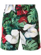 Dolce & Gabbana Anthurium Print Swim Shorts - Green