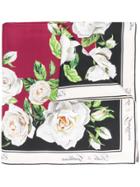 Dolce & Gabbana Rose Print Silk Scarf - White