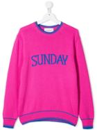 Alberta Ferretti Kids Sunday Knit Jumper - Pink