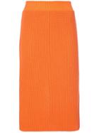 Calvin Klein 205w39nyc Ribbed Skirt - Yellow