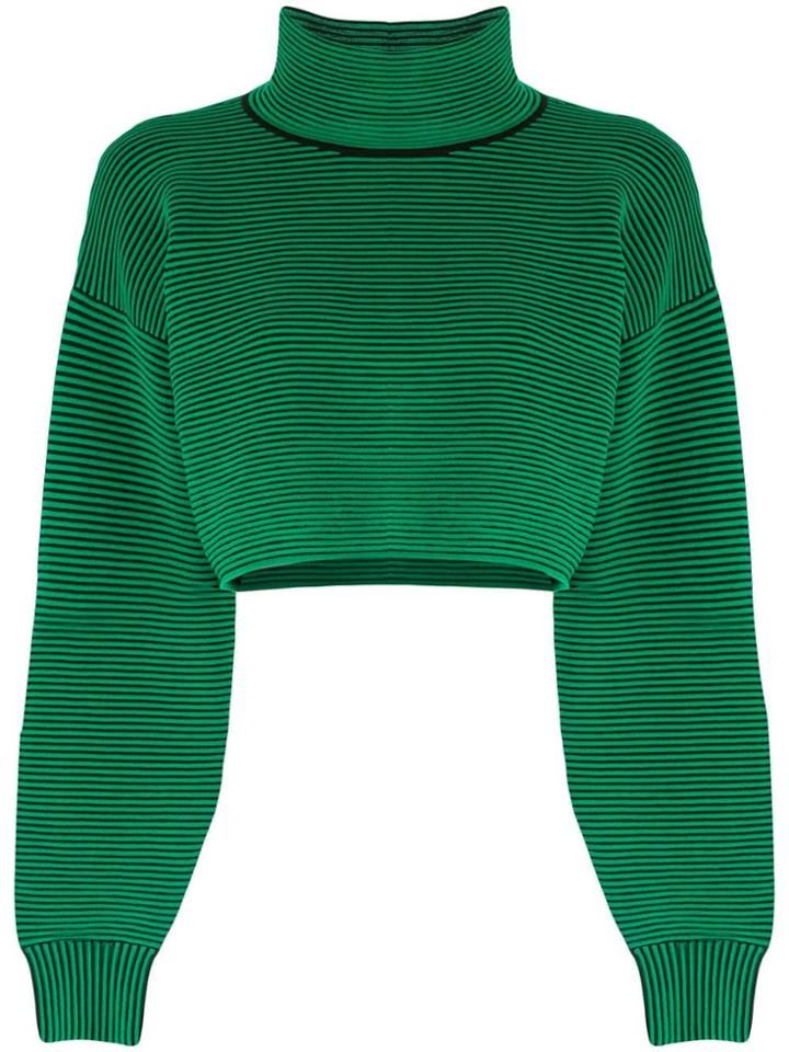 Nagnata Cropped Rib Sweater - Green