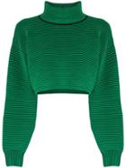 Nagnata Cropped Rib Sweater - Green