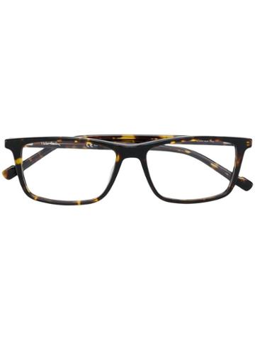 Pierre Cardin Eyewear - Brown