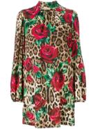 Dolce & Gabbana Rose Leopard Print Dress - Brown