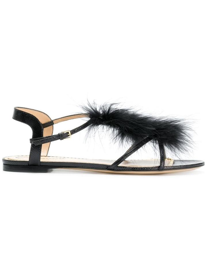 Charlotte Olympia Flat Feather Embellished Sandals - Black