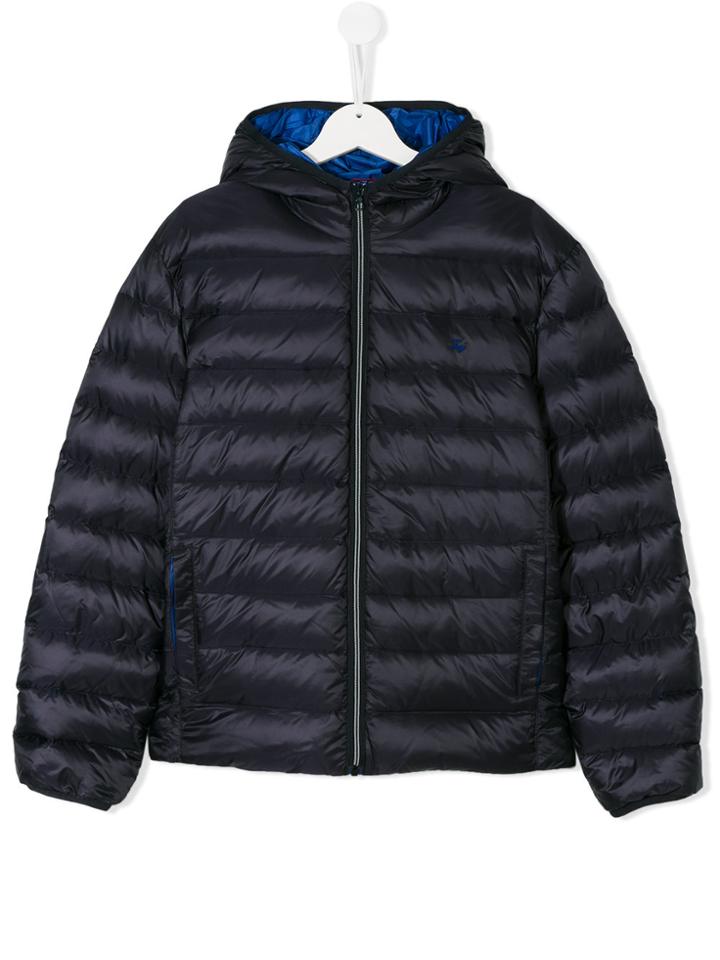 Fay Kids Padded Coat - Blue
