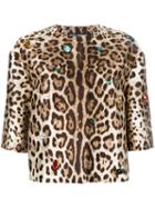 Dolce & Gabbana Leopard Print Jacket, Women's, Size: 42, Nude/neutrals, Wool/silk/brass