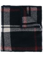's Max Mara Check Scarf - Blue