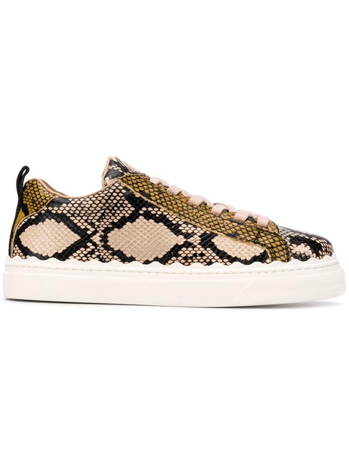Chloé Lauren Lace-up Sneakers - Brown