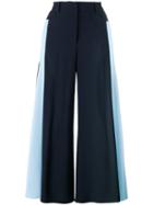 Peter Pilotto Stripe Side Flared Trousers, Women's, Size: 12, Blue, Acetate/viscose