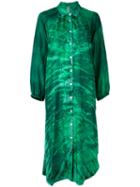 Raquel Allegra Gradient Shirt Dress, Women's, Size: 1, Green, Silk