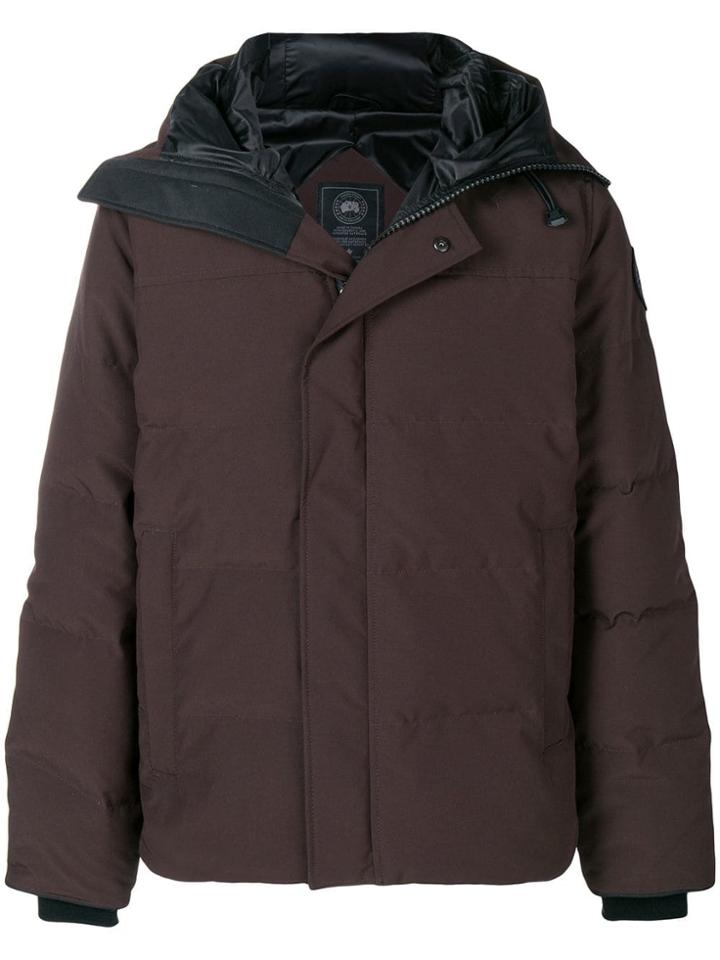 Canada Goose Macmillan Parka - Brown