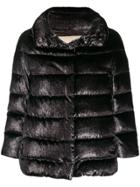 Herno Short Puffer Coat - Black