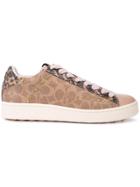 Coach Signature Low Top Sneakers - Brown