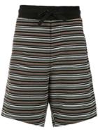 Osklen Striped Shorts - Multicolour