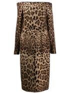 Dolce & Gabbana Off-the-shoulder Leopard-print Dress - Brown