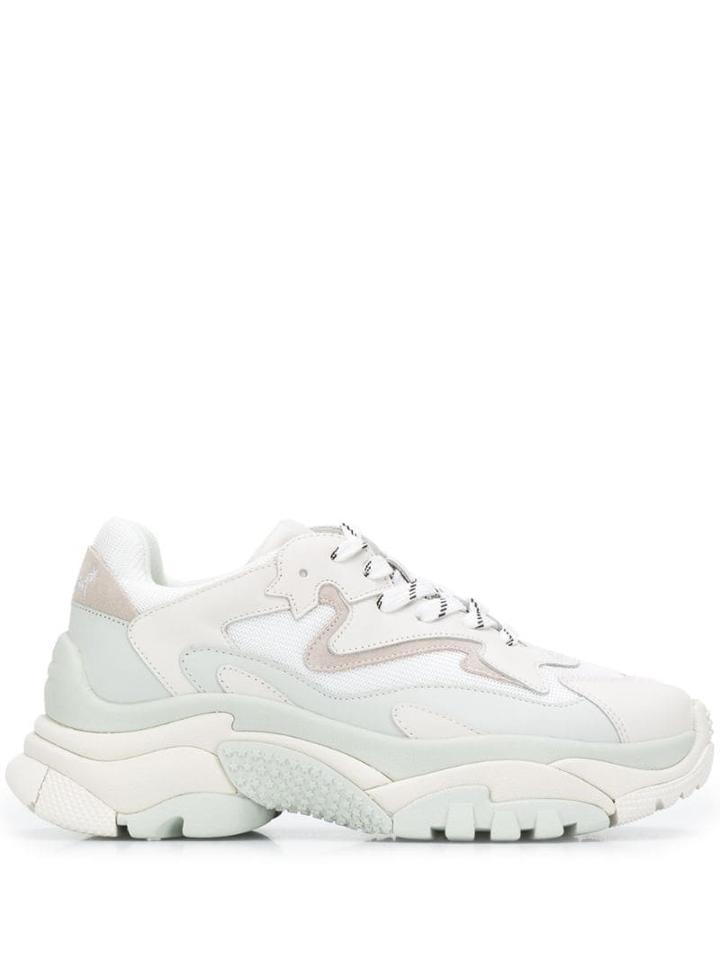 Ash Addict Off White Sneakers