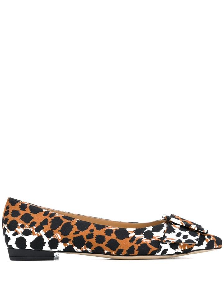 Sergio Rossi Pointed Tip Ballerina Shoes - Brown