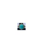 Fashion Concierge Vip Turquoise Stone With Diamonds - Unavailable