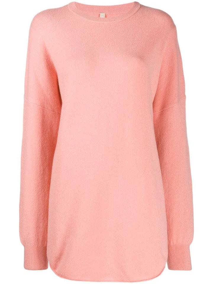 Extreme Cashmere Nº53 Crew Neck Jumper - Pink