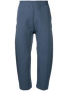Nike Cropped Track Pants - Blue