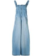 Pony Stone Wide-leg Overalls - Blue