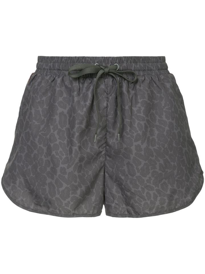 The Upside Leopard-print Shorts - Grey