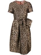 P.a.r.o.s.h. Leopard Print Flared Dress - Brown