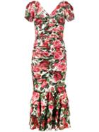 Dolce & Gabbana Rose (pink) Print Ruched Midi Dress, Women's, Size: 40, Silk/spandex/elastane