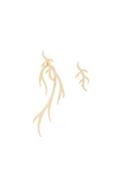 Federica Tosi Branch Earrings, Women's, Metallic