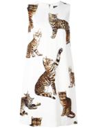 Dolce & Gabbana Bengal Cat Print Dress