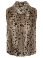 Joie Leopard Print Sleeveless Jacket, Women's, Size: Xs, Brown, Polyester/rabbit Fur
