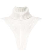 Alexandra Golovanoff Ribbed Turtle Neck Scarf - Neutrals