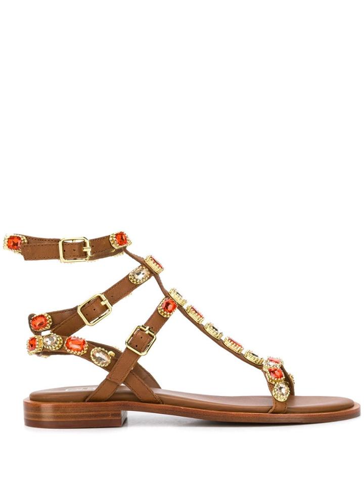 Ash Passion Embellished Sandals - Brown