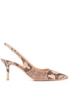 Gianvito Rossi Esther Python Slingback Pumps - Neutrals