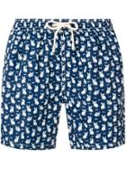 Mc2 Saint Barth Dog Print Swim Shorts - Blue