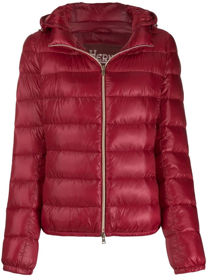 Herno Zip-front Padded Jacket - Red