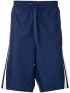 Adidas Adidas Originals Eqt Premium Parley Shorts - Blue