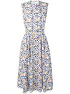 Peter Taylor Codiletta Dress - Blue