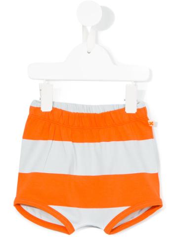 Tiny Cottons Striped Shorts, Infant Girl's, Size: 3-6 Mth, Yellow/orange