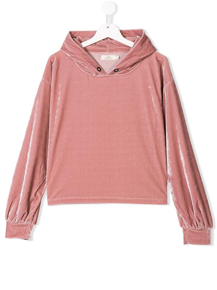 Andorine Teen Velvet Cropped Hoodie - Pink