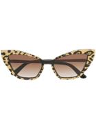 Dolce & Gabbana Eyewear Leopard Print Cat Eye Sunglasses - Black