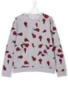 Stella Mccartney Kids Teen Betty Lady Bug Sweatshirt - Grey