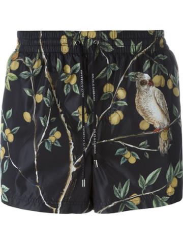 Dolce & Gabbana Lemon Tree Print Swim Shorts