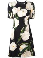 Dolce & Gabbana Tulip Print Dress, Women's, Size: 40, Black, Silk/spandex/elastane/wool