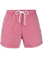 Champion Striped Swim Shorts - Red