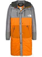 Junya Watanabe Man - Grey