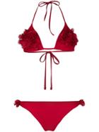 La Reveche Shayana Appliqué Bikini Set - Red