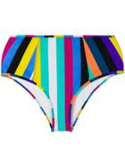 Diane Von Furstenberg Bikini Bottoms - Multicolour
